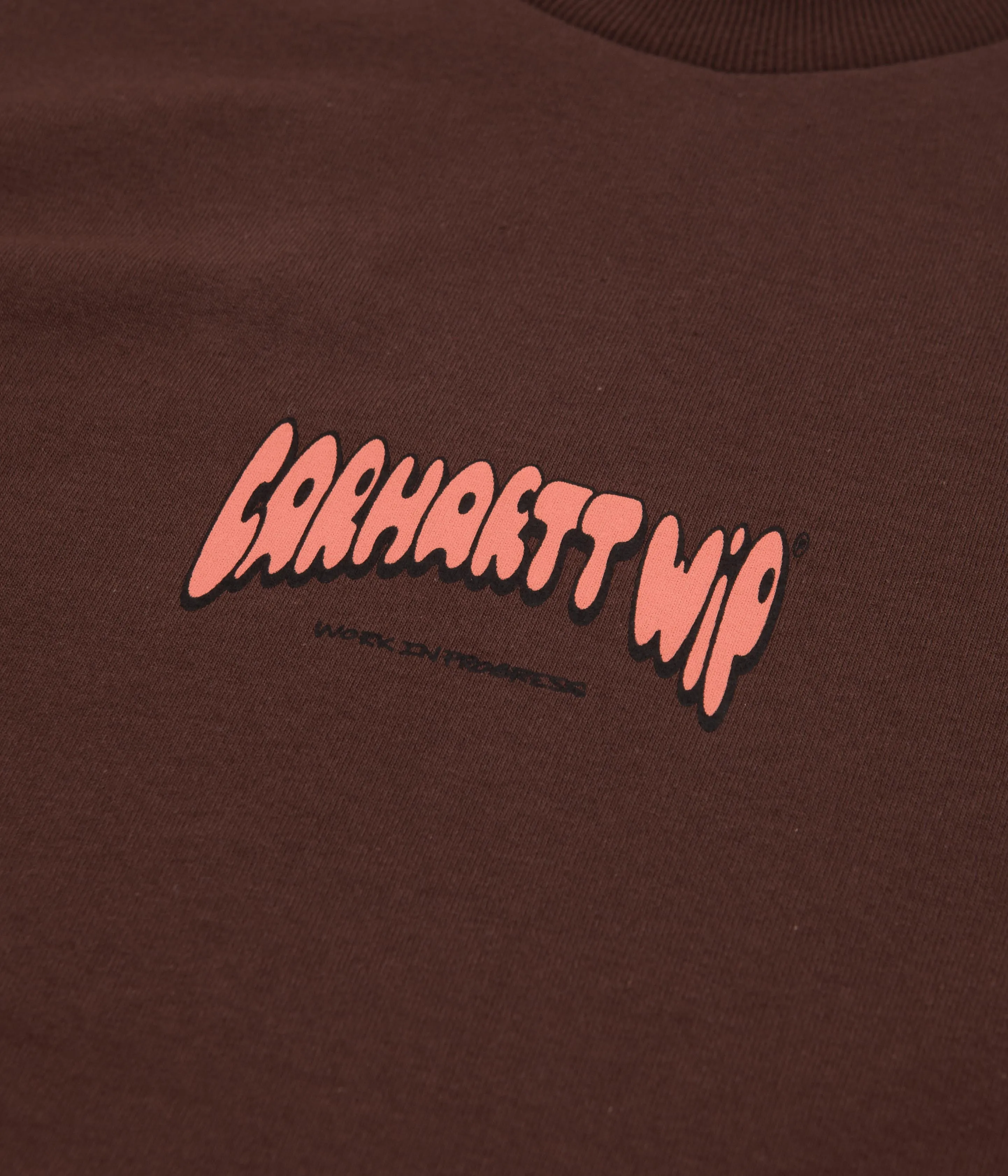 Carhartt Bubble Script T-Shirt - Ale